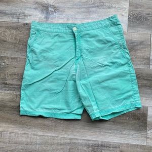 SUNDAY Men’s Mint Green Swim Shorts Trunk Bottoms